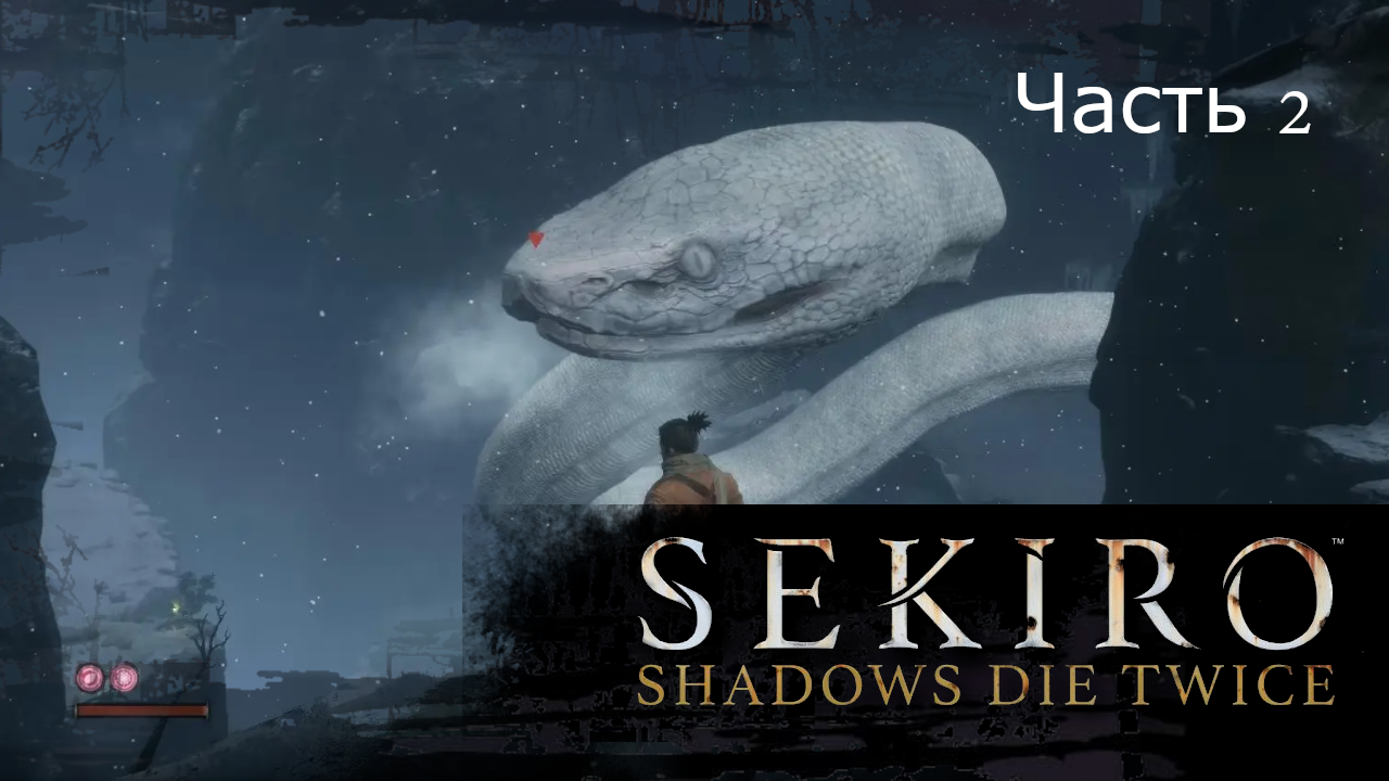 Sekiro_p2