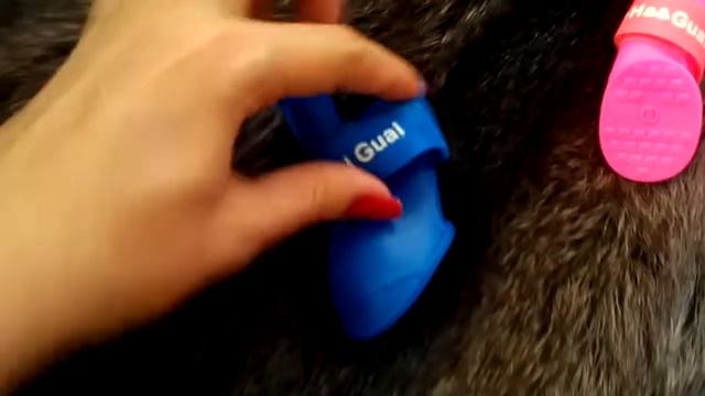 Силиконовые ботинки для собак. Летняя ОДЕЖДА ДЛЯ СОБАК маленьких пород. смотреть онлайн