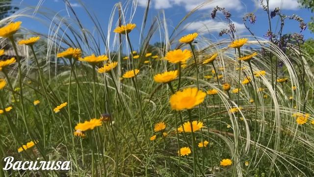 Три дела которые нужно сделать ДО ВОЗНЕСЕНИЯ 25 МАЯ. Вознесение Господне 2023. Молитвы на Вознесени смотреть онлайн