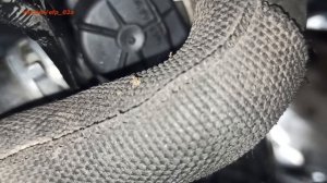 Как легко устранить течь антифриза Audi A4 B8 #VAG