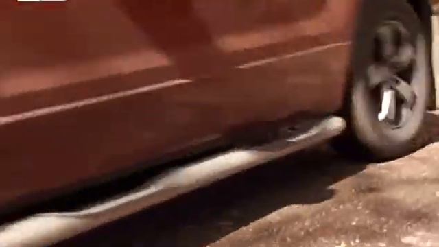 Подержанные Авто Suzuki Grand Vitara смотреть онлайн