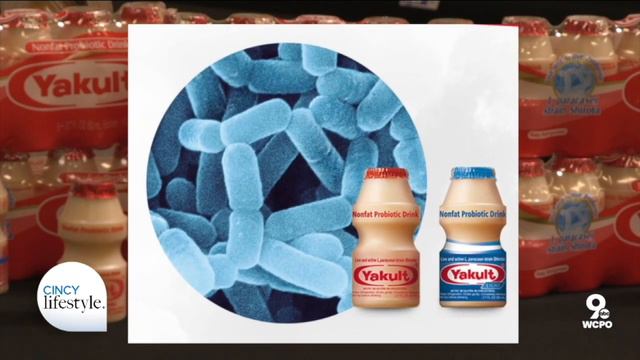 The Perfect Probiotic Drink On The Go | Cincy Lifestyle смотреть онлайн