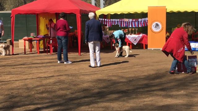 IMG 1717 смотреть онлайн