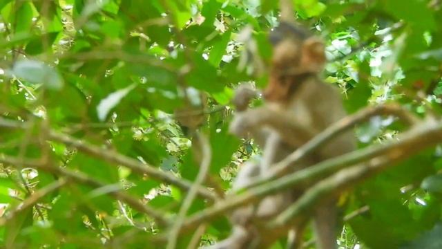 Poor Baby TILLY Thinking Strange By See Baby Ara Her Friend React Like This On Her смотреть онлайн