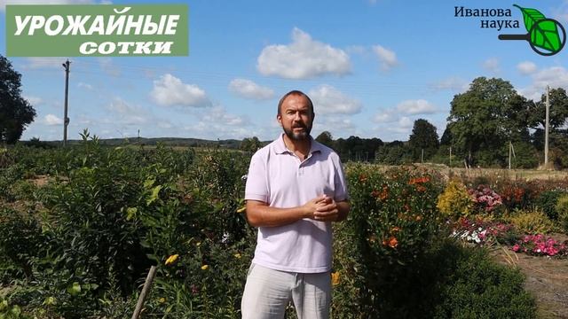 ВОТ ЭТО ПОМОЖЕТ ОБОЙТИСЬ БЕЗ СЕВООБОРОТА! смотреть онлайн