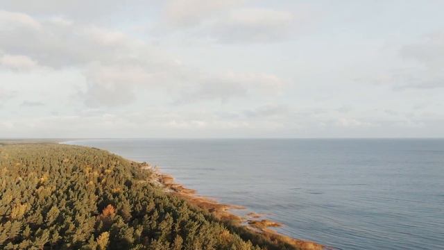 Он решил сходить и посмотреть, что происходит на линии фронта... История из жизни. смотреть онлайн