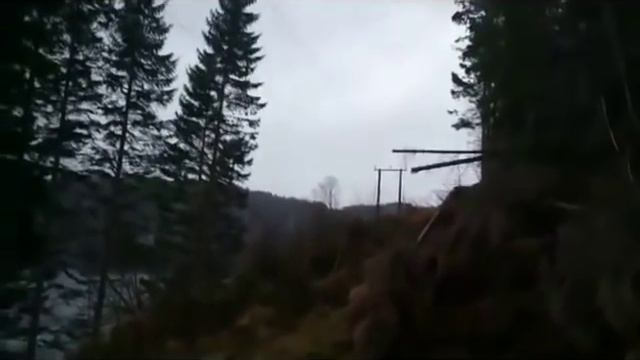 Замыкание ВЛЭП через дерево (short-circuit transmission line through the tree) смотреть онлайн
