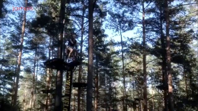 Воздушная прогулка на велосипеде между соснами | jamais vu смотреть онлайн