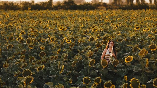 Boney M - Sunny | Saxophone Cover | Alexandra Ilieva | Thomann смотреть онлайн