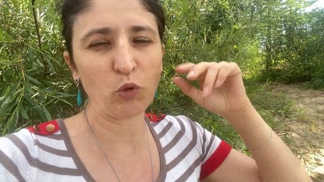 6. Мой саботаж на 2 встречу проявился ввиде отключения энергии и сотовой связи (часть 6). смотреть онлайн