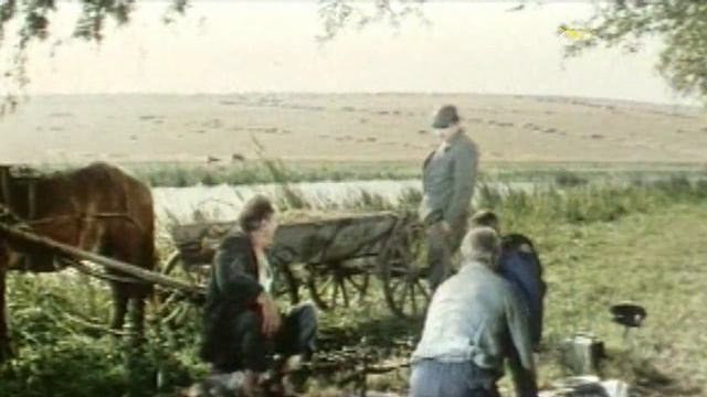 Больше я вам не компания... Трутни! смотреть онлайн
