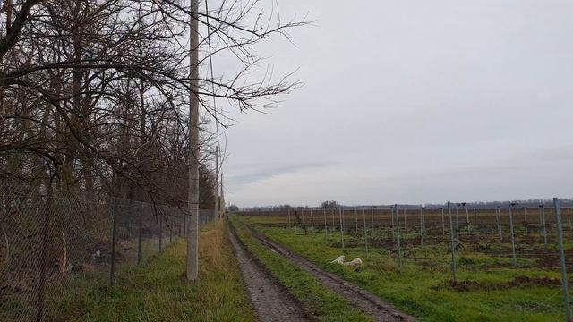 Крыло Ангела в Калининской. Всё теперь будет хорошо!!! смотреть онлайн
