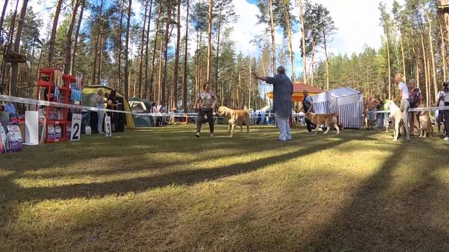 04.08.2018 Моно САО(КЧК) Псков. Сравнение на ЛК. эксперт Соколова Л.В. смотреть онлайн