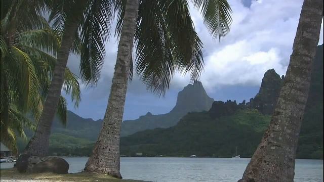 Музыка для релаксации "Тропическое море" смотреть онлайн