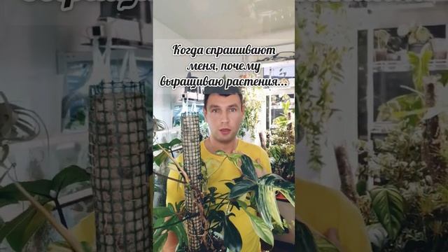 Почему растения?) смотреть онлайн