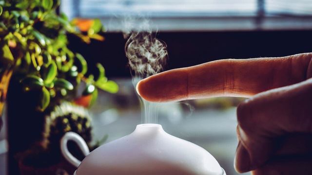 Как увлажнить воздух в квартире без увлажнителя 12 способов