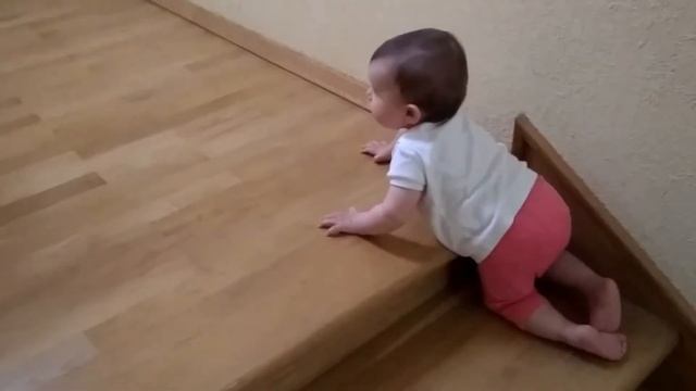 РЕБЕНОК ПОДНИМАЕТСЯ ПО СТУПЕНЬКАМ В 8 МЕСЯЦЕВ. THE CHILD RISES UP STEPS смотреть онлайн