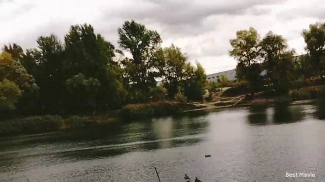 Гуляем. Кормили уток и голубок. смотреть онлайн