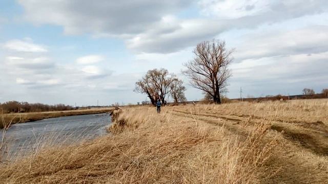 Посади своё дерево часть 4 [Plant your tree part 4] смотреть онлайн