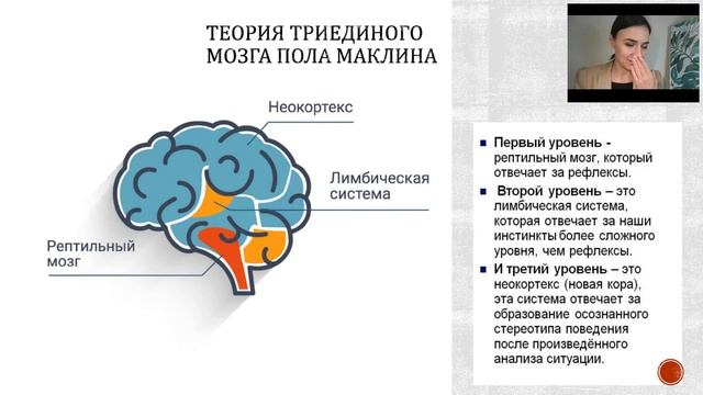 Программирование реальности смотреть онлайн