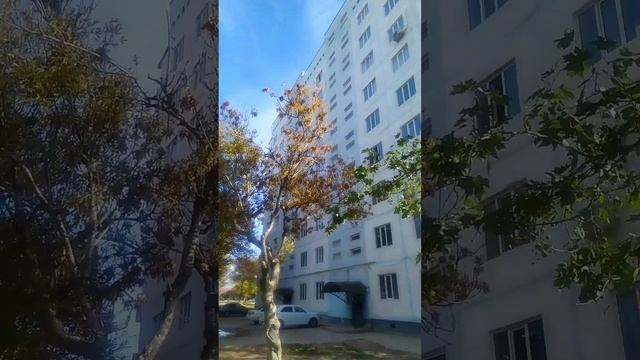 Ташкентская обл. Ахангаран, Ангрен , Янгиабад, Паркент Институт Солнца. 5.11.2023. смотреть онлайн