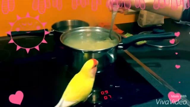 Идеальный ужин на 14 февраля❣ Varya & Liza смотреть онлайн