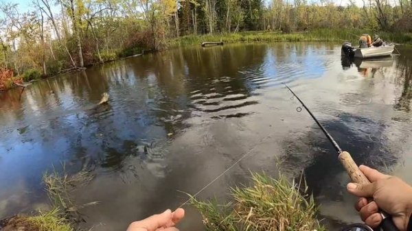 Pesca Y cocina De Salmon Gigantes 2020 Video #1