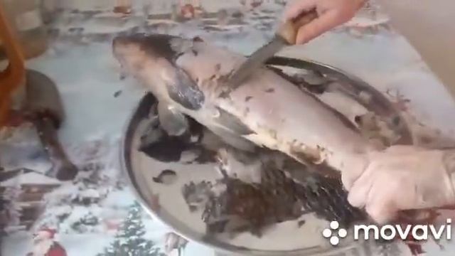 #Carp, #карп разделка смотреть онлайн