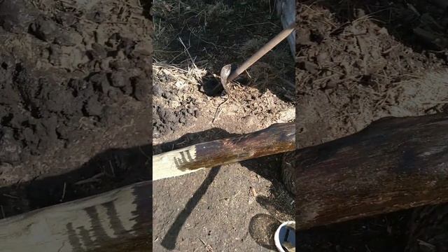 Поставил забор в саду смотреть онлайн