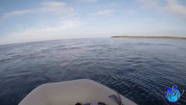 Ловля Камбалы в Белом море! Выживание на необитаемом острове. Часть 1 смотреть онлайн