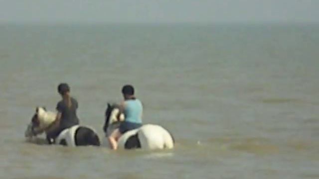 Piccalo and Badger at Sandwich Bay :-) 28/01/2007 смотреть онлайн