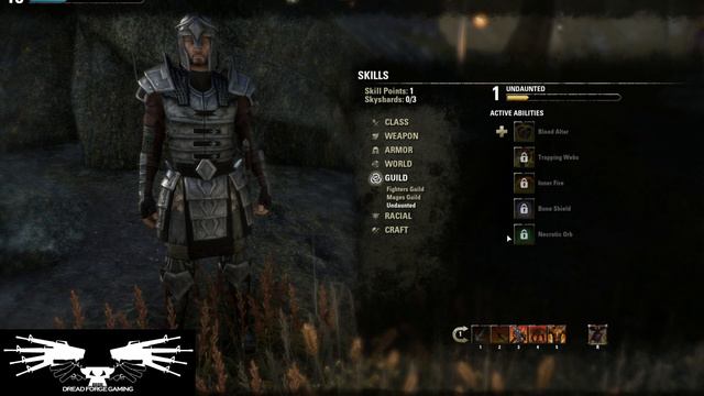 Elder Scrolls Online Dragon Knight 1-18 Tanking Build смотреть онлайн