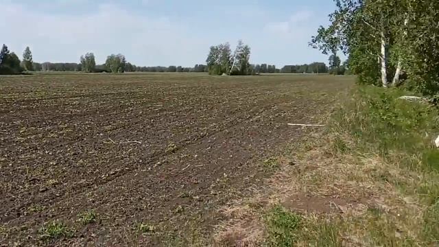 №28 Гербицидная обработка. Обзор всех посевов смотреть онлайн