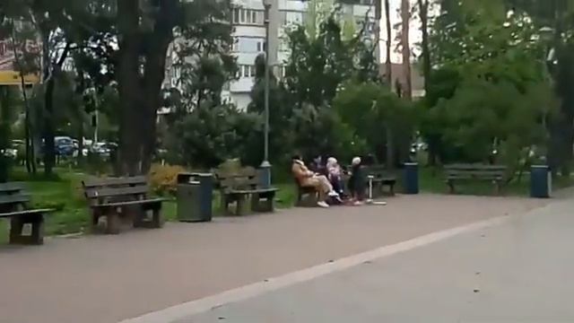 Тюльпаны Парк Победа Киев 27.04.20 смотреть онлайн