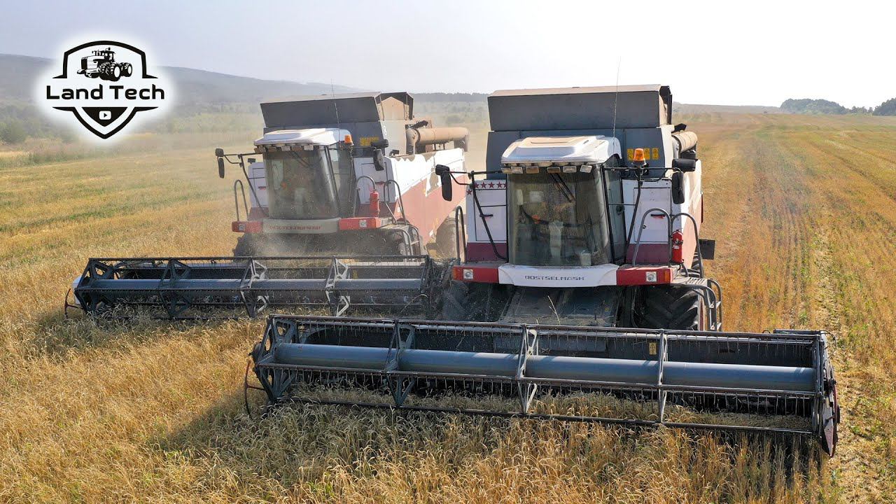 Комбайны Акрос 530 - Уборка пшеницы! Много камней на поле! смотреть онлайн