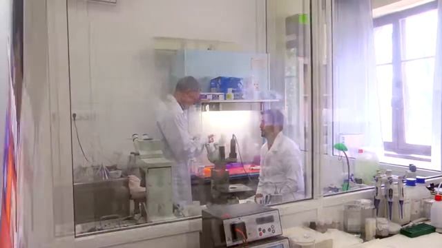 Babolna TETRA - the Poultry Breeder Company 2019 смотреть онлайн