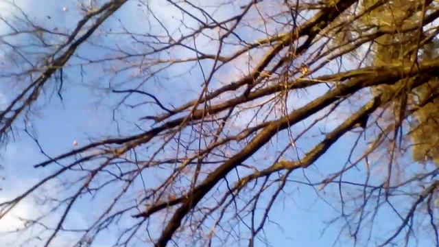 Ура наконец-то солнышко!!! Прогулка в Серебряном Бору!!!! Кормим уточек!!!🍁🍂🍃