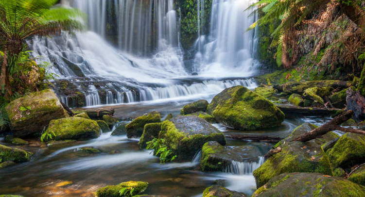 Relax. Расслабляющая река - HD видео природы - Звуки ручья и пения птиц. Релаксация ✦ Звуки Леса И П смотреть онлайн