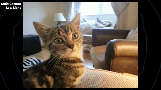 Samsung Galaxy S3: Secret History of an Iconic Phone [Mini-Documentary] смотреть онлайн