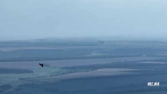 Дана Соколова, Скруджи - Индиго смотреть онлайн