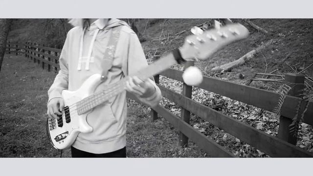 「tautology doubtful」- ツミキ / Bass Cover смотреть онлайн