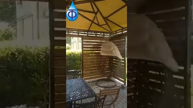 Беседки Охлаждение туманом.