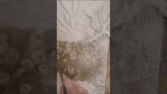 Барельеф Рыбки на стене смотреть онлайн