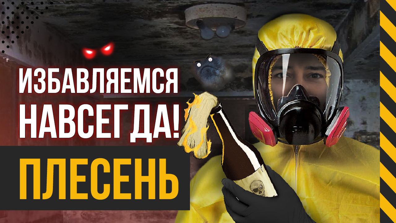 Что делать, если в доме появилась ПЛЕСЕНЬ? смотреть онлайн