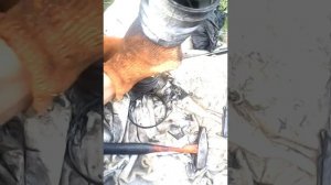 Лифан бриз. замена пыльника шруса