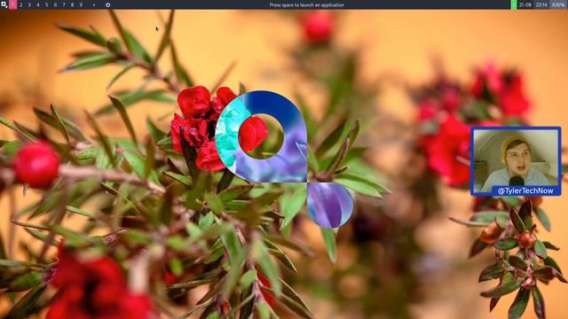instantOS | Super Fast And Lightweight Distro смотреть онлайн