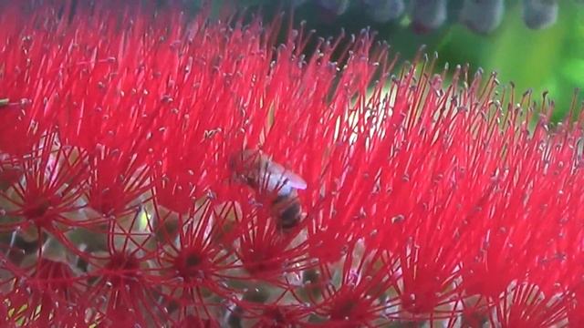 Test Videocamera Sony HDR-CX280E Full HD (1080p)