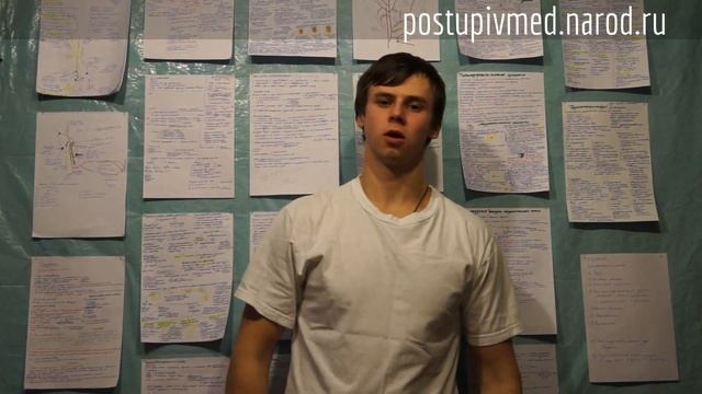 Подцарство Лишайники. Строение, классификация и ра смотреть онлайн
