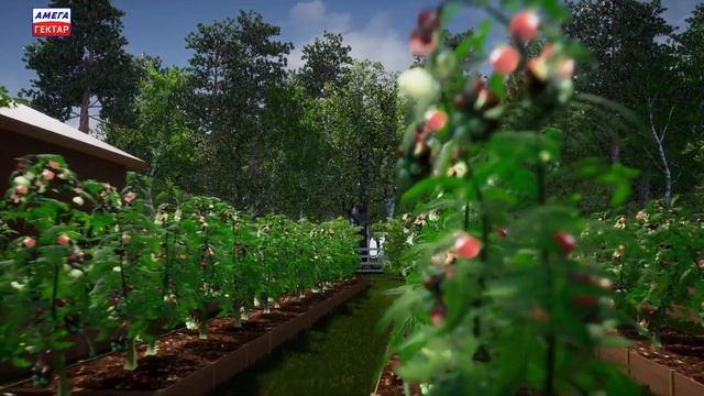 Пример усадьбы на 1 гектаре смотреть онлайн