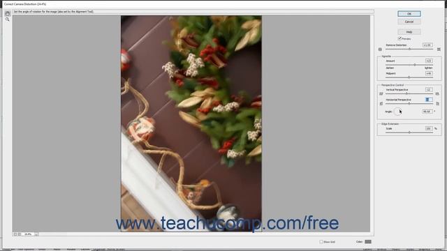 Photoshop Elements 2020 Tutorial Correcting Camera Distortions Adobe Training смотреть онлайн